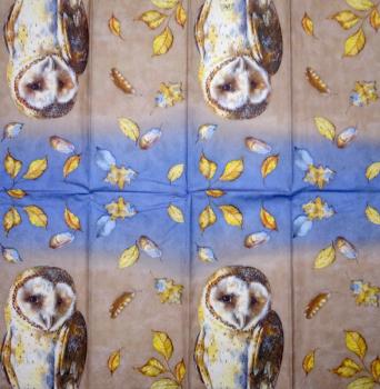 116 Eulen-lagig - Kalamazoo - CS - 24x24cm